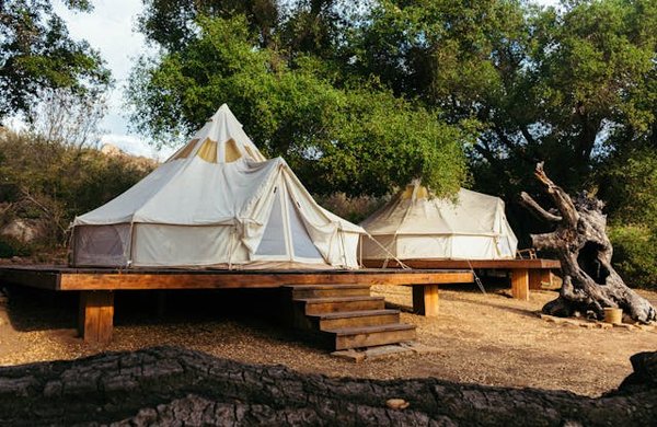 Tente vs. Hamac : quelle option pour votre prochain camping ?